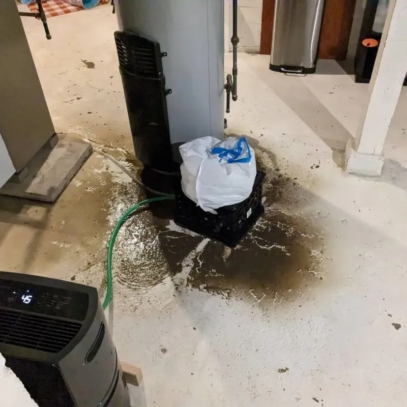 Sewage Backup Cleanup Service in Karnes County, TX